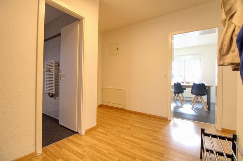 Gemütliches Coliving im lebendigen Altstetten in Zürich (9)