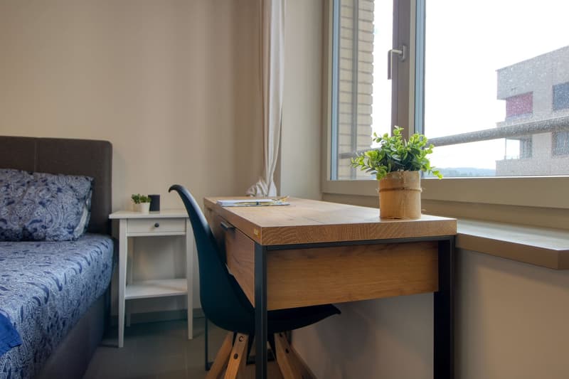 Furnished studio in a top location (6)