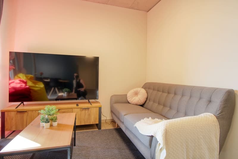 Furnished studio in a top location (17)