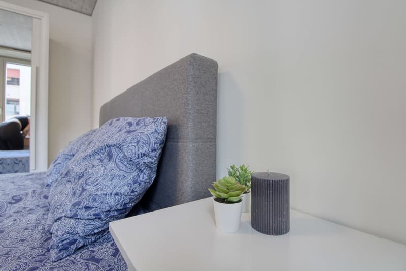 Furnished studio in a top location (8)