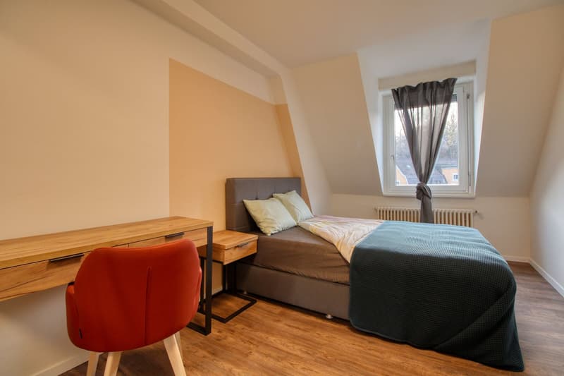 Möbliertes WG-Zimmer in Zürich (9)