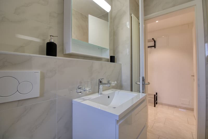 Möbliertes WG-Zimmer in Zürich (5)