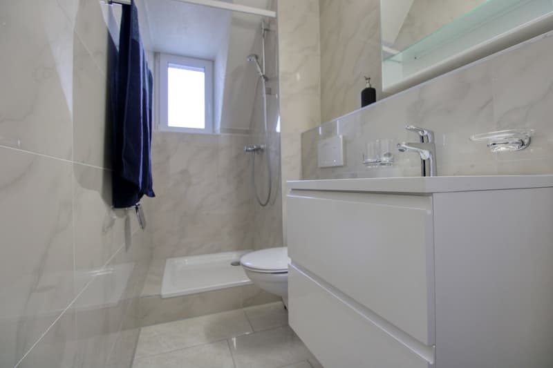 Möbliertes WG-Zimmer in Zürich (4)