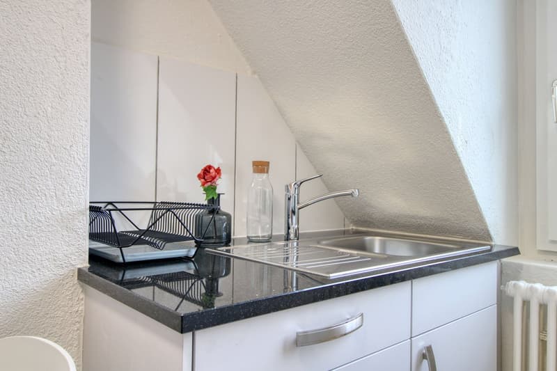 Möbliertes WG-Zimmer in Zürich (8)