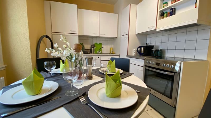 Magnifique appartement meublé en colocation, quartier Sous-Gare, Lausanne (8)