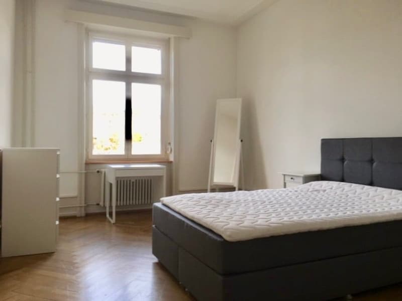 Stilvoll möbliertes WG-Zimmer in Basel (4)