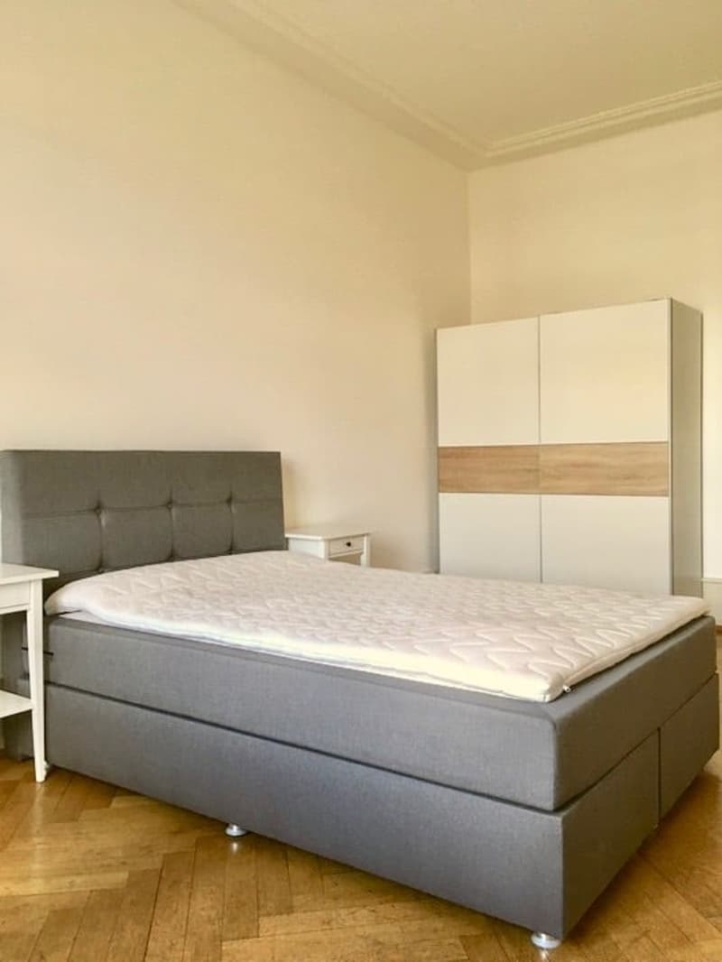 Stilvoll möbliertes WG-Zimmer in Basel (2)