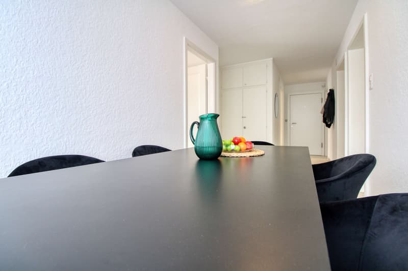 Geräumige Coliving-Wohnung mit großer Terrasse in Wallisellen (11)