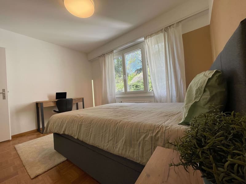 Furnished room in modernised apartment in a top location (9)
