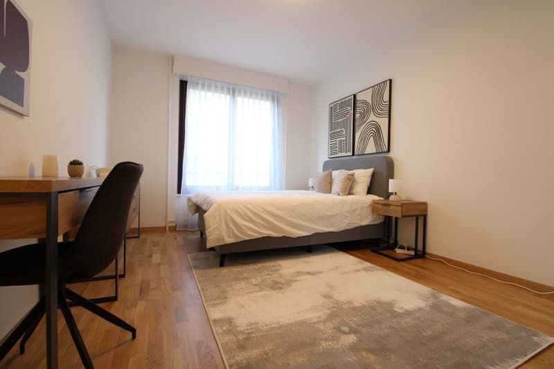 A well-connected western-Geneva base, minutes from the airport and the city (9)