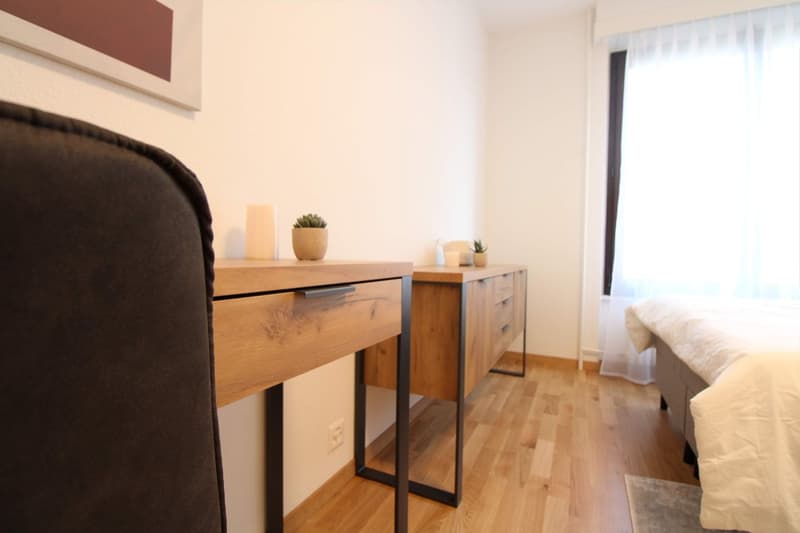 A well-connected western-Geneva base, minutes from the airport and the city (8)
