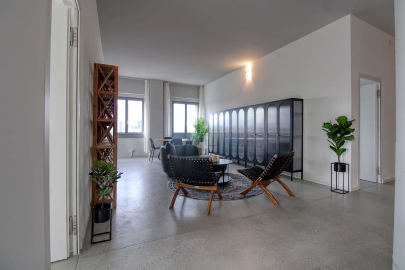 Coliving Moderne Alliant Intimité, Travail et Vie Partagée à Renens (27)