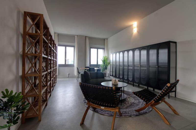 Coliving Moderne Alliant Intimité, Travail et Vie Partagée à Renens (24)