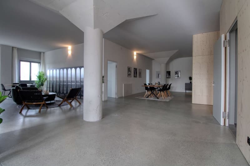 Coliving Moderne Alliant Intimité, Travail et Vie Partagée à Renens (26)