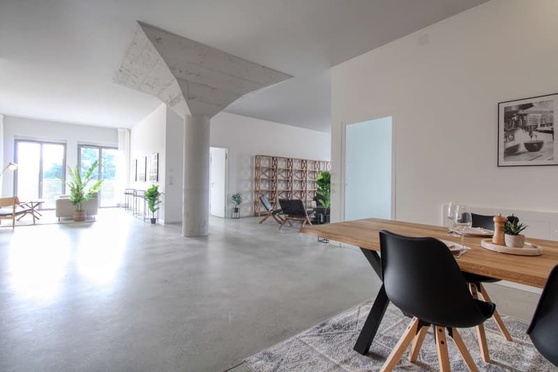 Coliving Moderne Alliant Intimité, Travail et Vie Partagée à Renens (37)