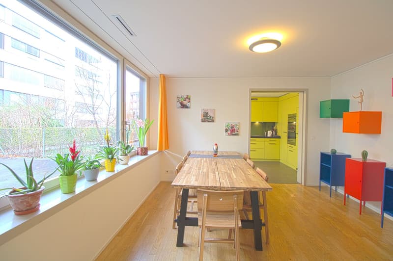 Stilvoll möbliertes Community Studio in Zürich Seebach (13)
