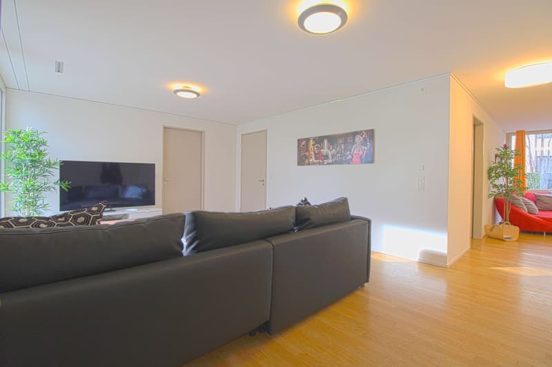 Stilvoll möbliertes Community Studio in Zürich Seebach (5)