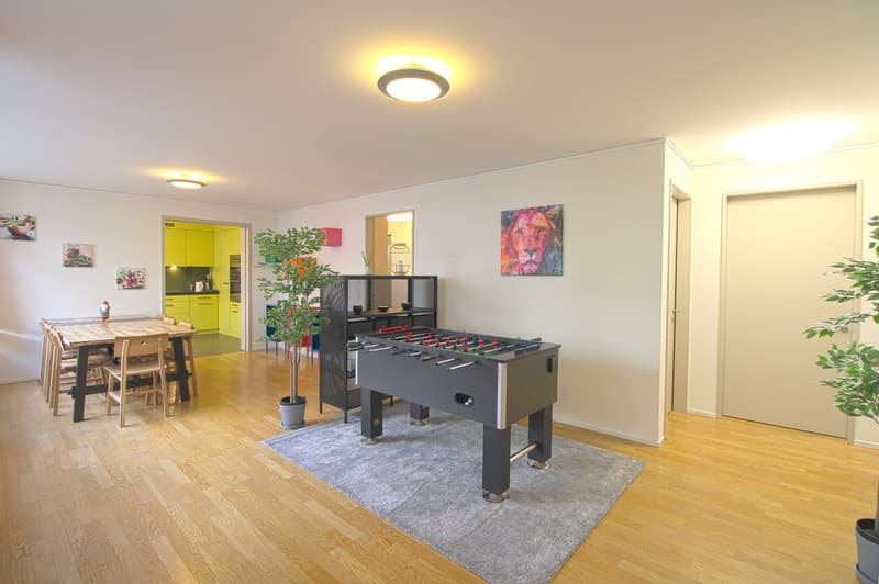 Stilvoll möbliertes Community Studio in Zürich Seebach (15)