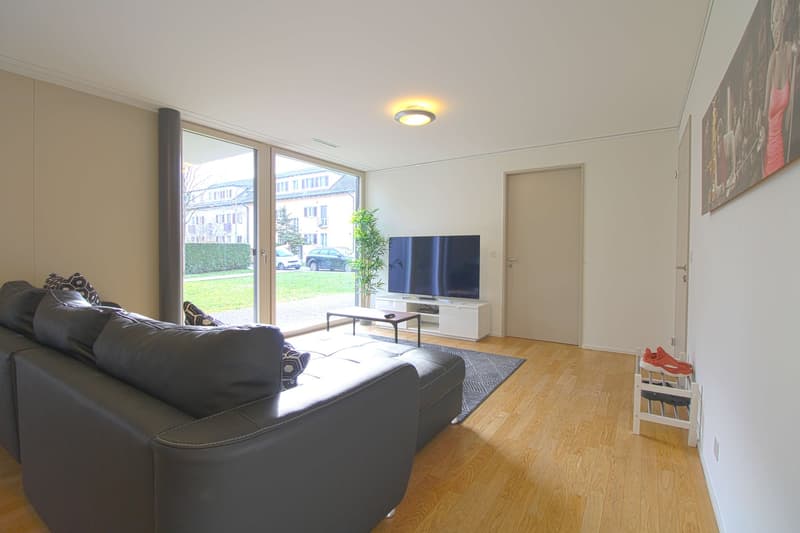 Stilvoll möbliertes Community Studio in Zürich Seebach (7)