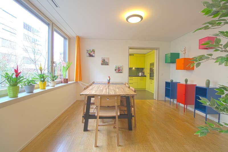 Stilvoll möbliertes Community Studio in Zürich Seebach (11)
