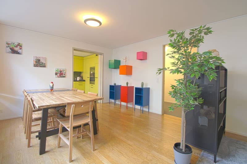 Stilvoll möbliertes Community Studio in Zürich Seebach (12)
