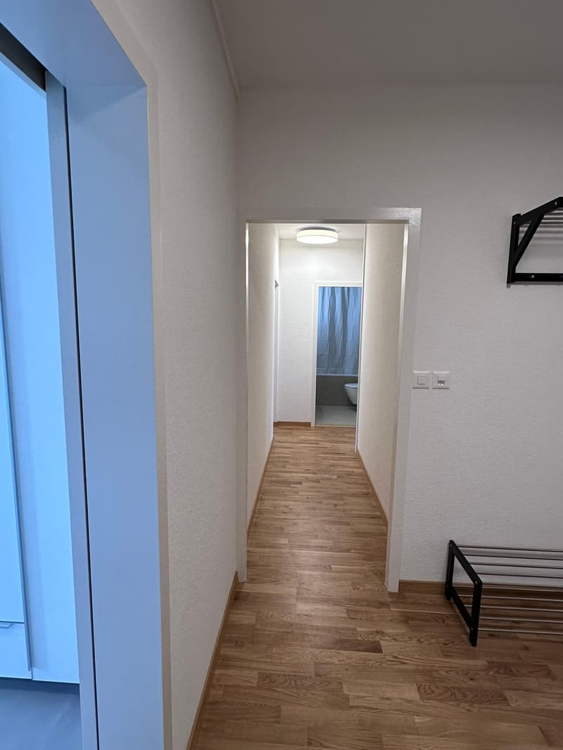 Coliving Spacieux entre Ville et Nature à Thônex (22)