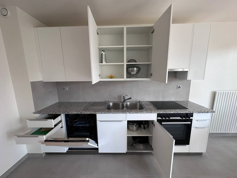 Coliving Spacieux entre Ville et Nature à Thônex (16)
