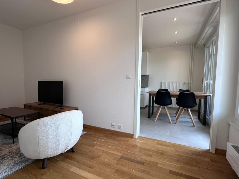 Coliving Spacieux entre Ville et Nature à Thônex (20)
