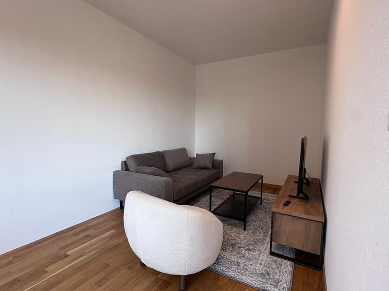 Coliving Spacieux entre Ville et Nature à Thônex (10)