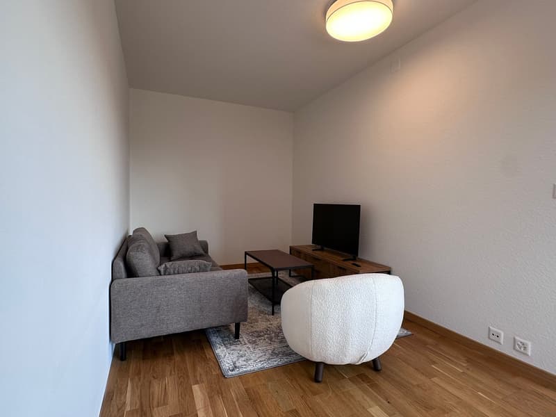 Coliving Spacieux entre Ville et Nature à Thônex (11)