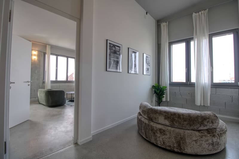 Coliving Moderne Alliant Intimité, Travail et Vie Partagée à Renens (35)