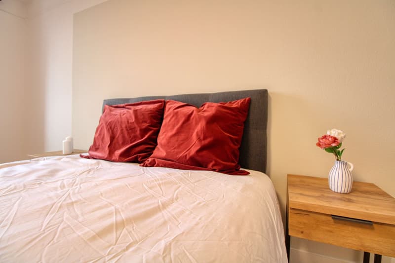 Un Appartement Coliving Moderne à l'Avenue de France à Lausanne (4)