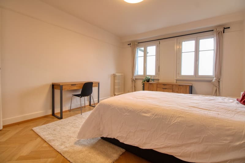Un Appartement Coliving Moderne à l'Avenue de France à Lausanne (2)