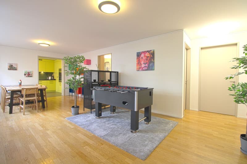 Stilvoll möbliertes Community Studio in Zürich Seebach (11)