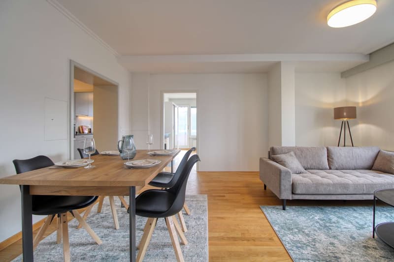 Coliving Spacieux et Confortable à Le Grand-Saconnex (7)