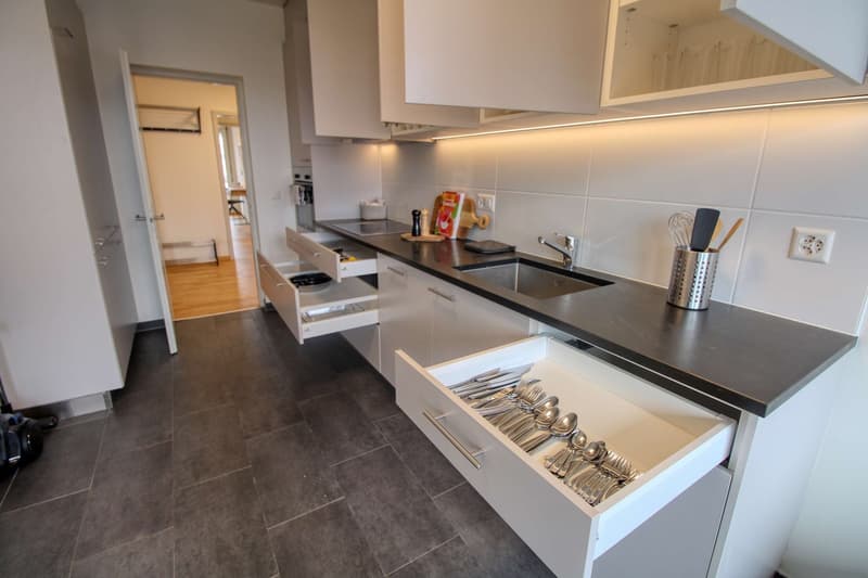 Coliving Spacieux et Confortable à Le Grand-Saconnex (15)
