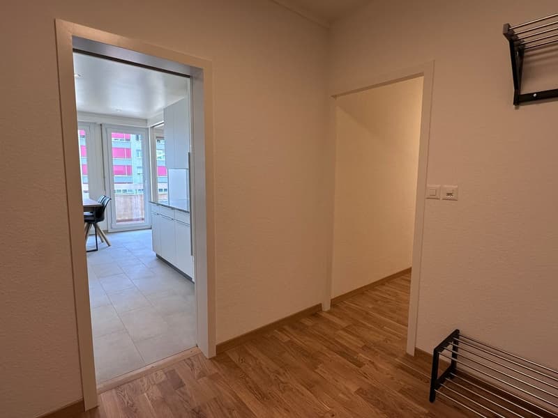 Coliving Spacieux entre Ville et Nature à Thônex (21)