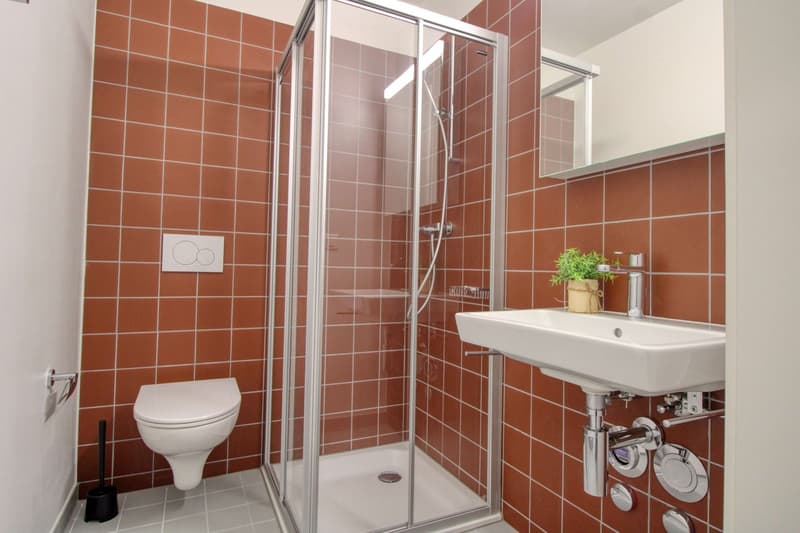 Appartement vivant spacieux à Crissier avec salle de bain privée (12)