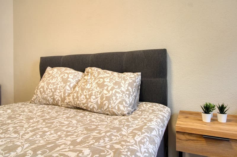 Vivez le coliving confortable au cœur de Lausanne (5)