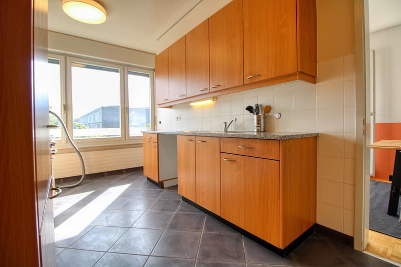 Coliving Spacieux et Moderne à Grand-Saconnex, Genève (14)