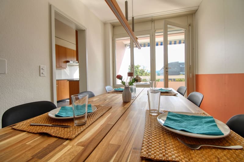 Coliving Spacieux et Moderne à Grand-Saconnex, Genève (21)