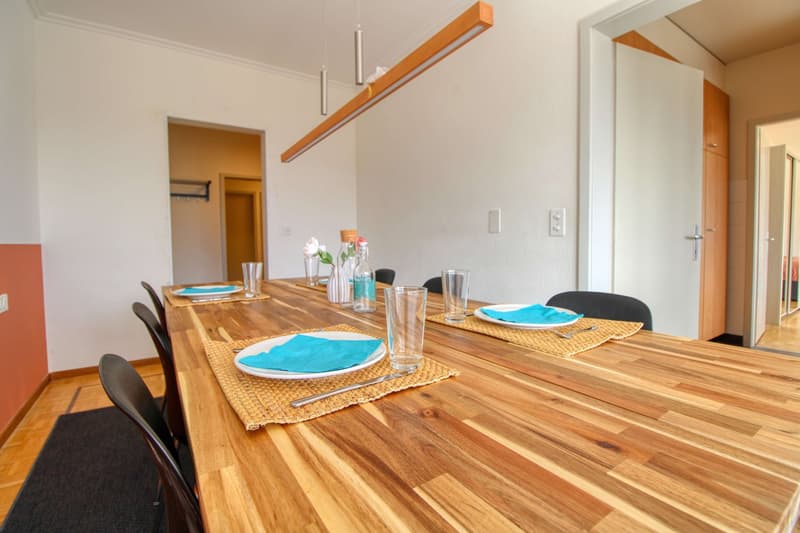 Coliving Spacieux et Moderne à Grand-Saconnex, Genève (19)