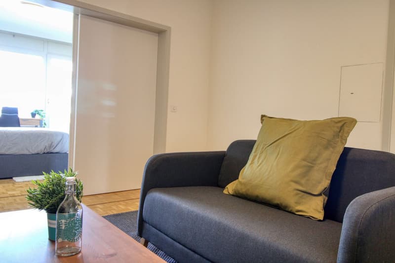 Coliving Spacieux et Moderne à Grand-Saconnex, Genève (24)