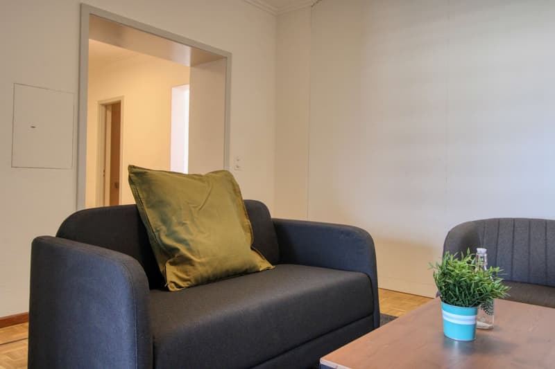 Coliving Spacieux et Moderne à Grand-Saconnex, Genève (27)
