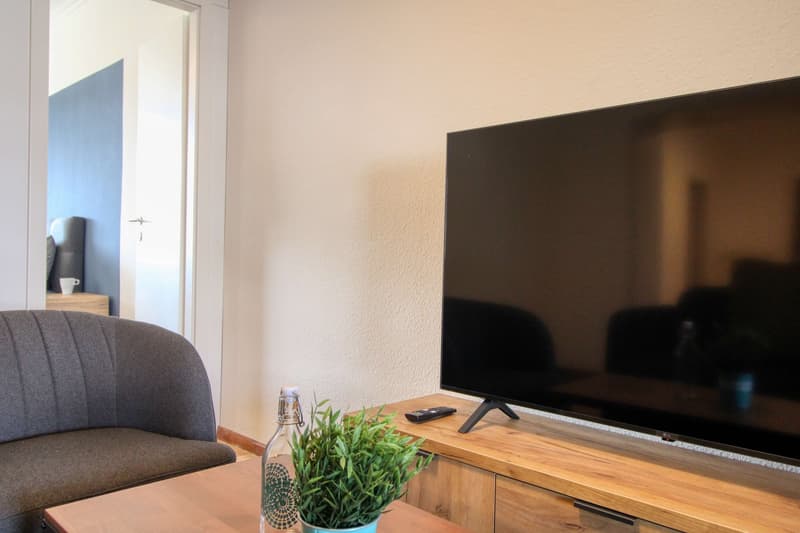 Coliving Spacieux et Moderne à Grand-Saconnex, Genève (26)