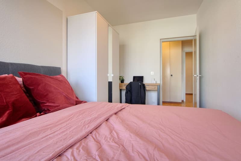 Coliving Spacieux et Moderne à Grand-Saconnex, Genève (4)