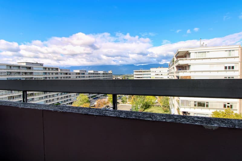 Coliving Spacieux et Moderne à Grand-Saconnex, Genève (2)