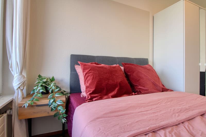 Coliving Spacieux et Moderne à Grand-Saconnex, Genève (5)