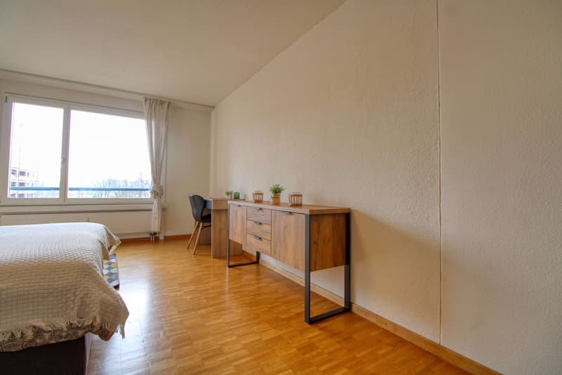 Stylish Coliving Room in Zürich (6)