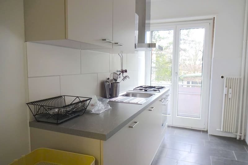 Cozy Single Room in a Flat Share – Basel, Riehenstrasse (4)